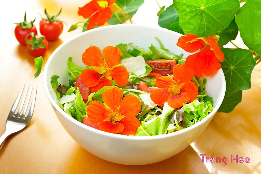Hoa và lá non của sen cạn cũng có thể dùng làm salad, giàu vitamin C.
